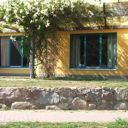 Doppelzimmer 11 Gaestehaus Muehlenstein Bad Sulze Zewnętrze zdjęcie